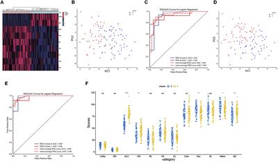 Artificial intelligence and bioinformatics analyze markers of children's transcriptional genome to predict autism spectrum disorder
